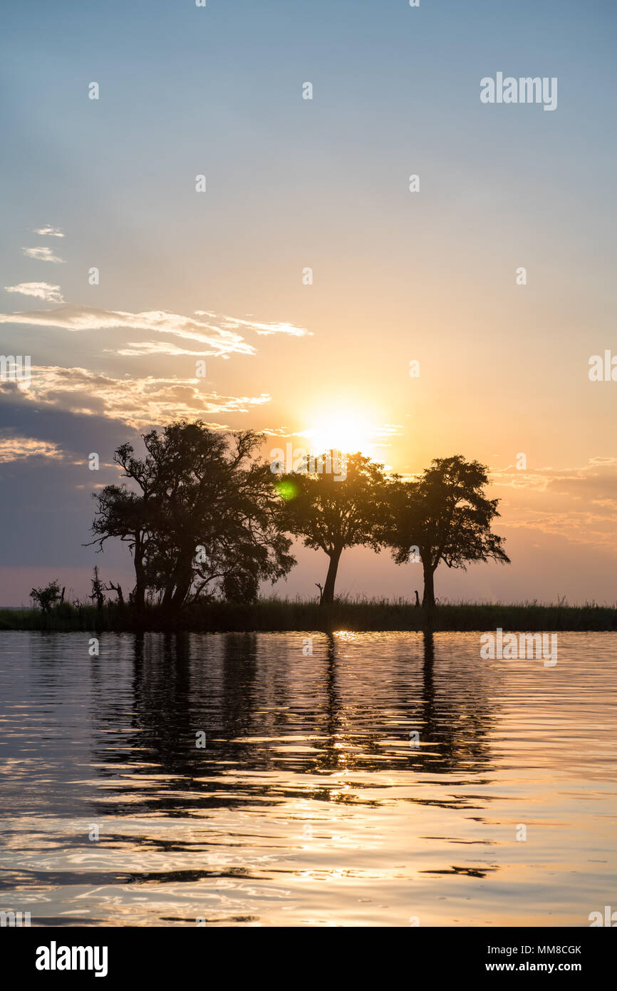 Le Parc National de Chobe - Botswana Banque D'Images