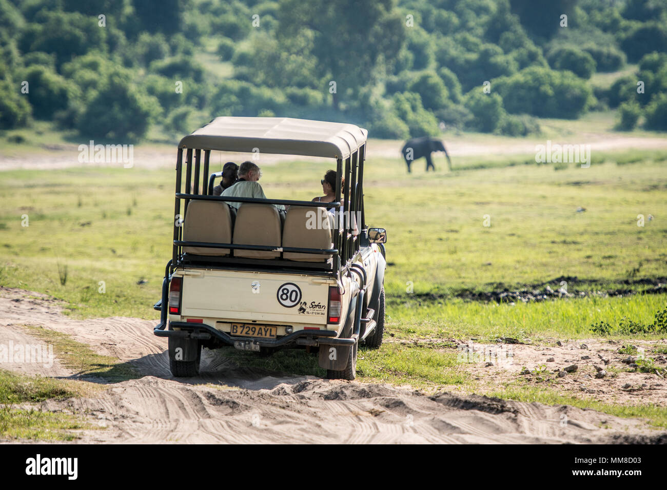 Visualisateur véhicule transportant les amateurs de safari navigue en terrain accidenté, le Parc National de Chobe - Botswana Banque D'Images