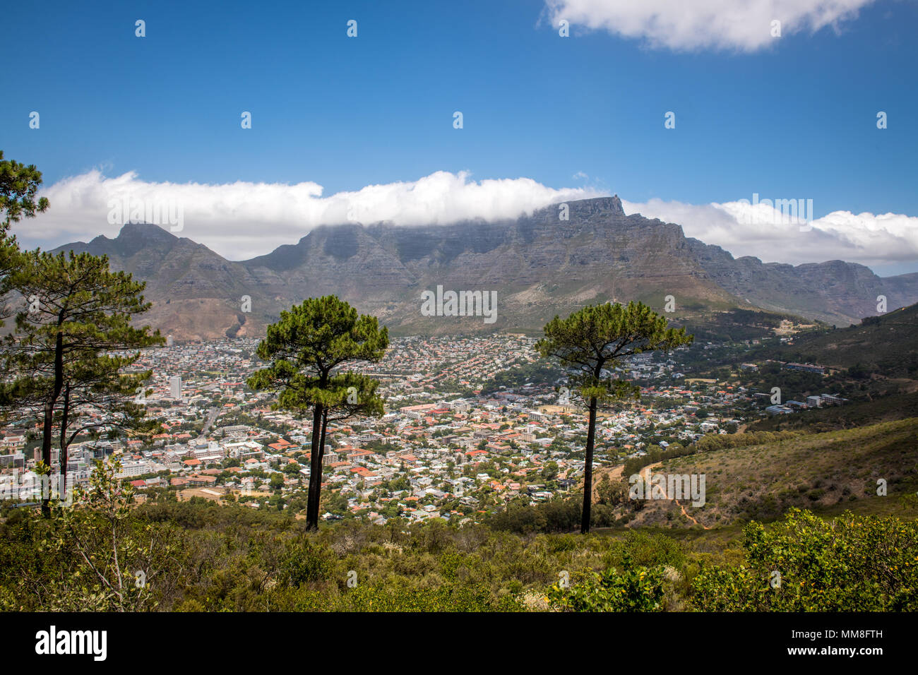 Portrait de la Montagne de la table et la ville du Cap, Afrique du Sud Banque D'Images