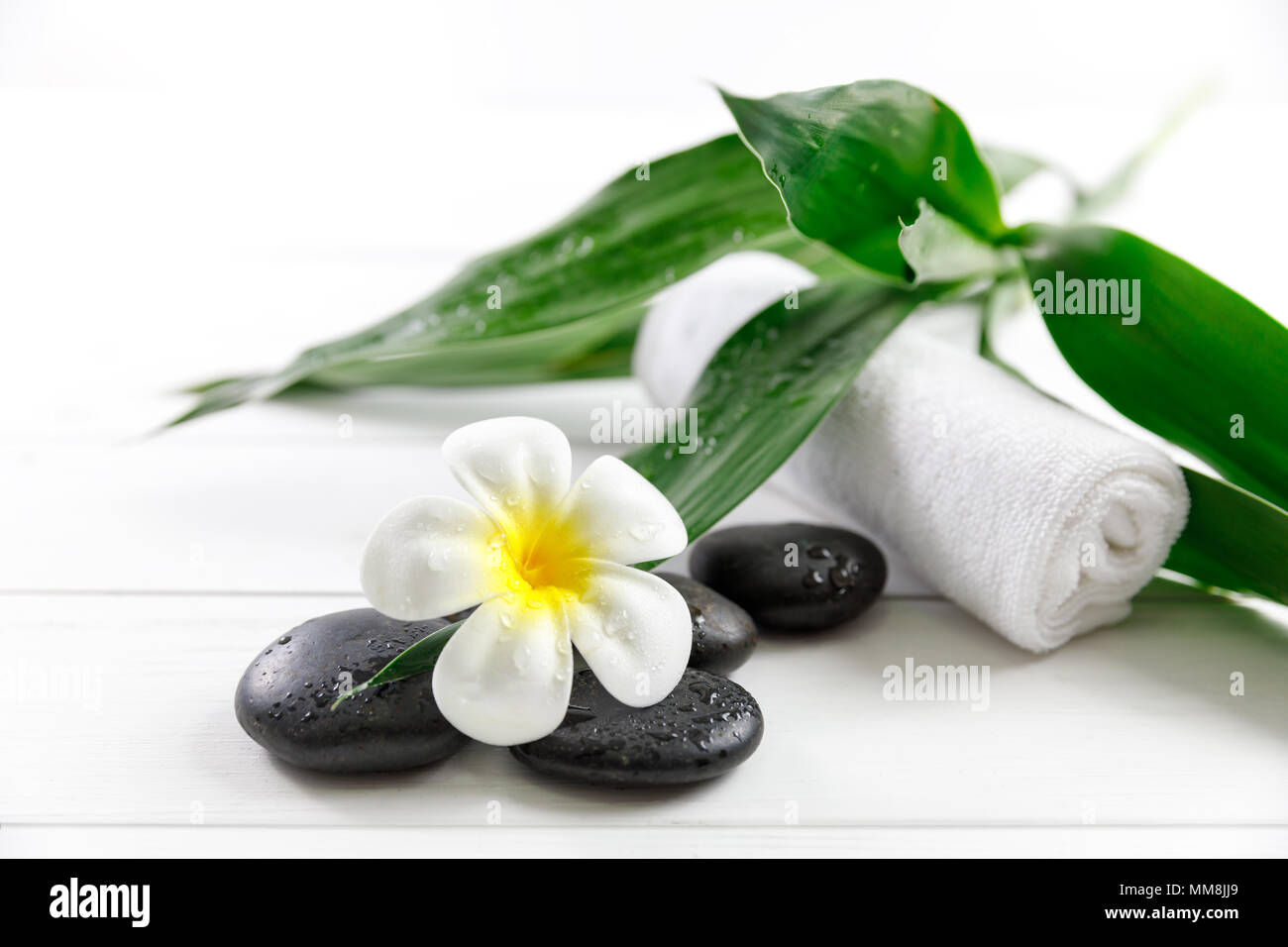 Spa concept avec bougie, fleur, pierre et bambou, relaxation Banque D'Images