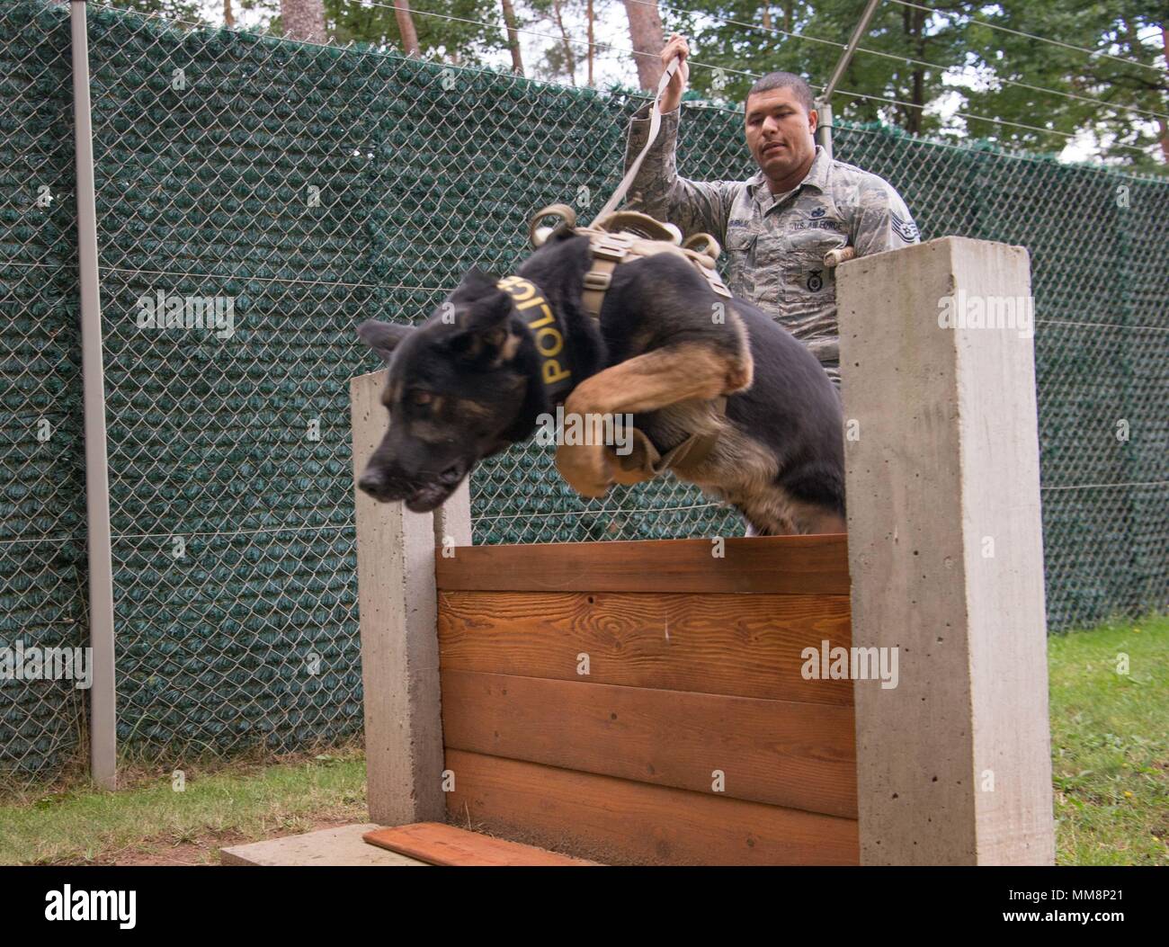 Le sergent de l'US Air Force. Steven Barnum, gauche, 86e Escadron des Forces de sécurité de chien de travail militaire, sauts à son chien, Orca, sur l'obéissance d'un cours de formation sur la base aérienne de Ramstein, Allemagne, Septembre 12, 2017. L'obéissance est le fondement de la réussite entre les gestionnaires et leurs chiens MWD, obstacle formations aide à l'obéissance parfaite. (U.S. Photo de l'Armée de l'air par la Haute Airman Elizabeth Baker) Banque D'Images