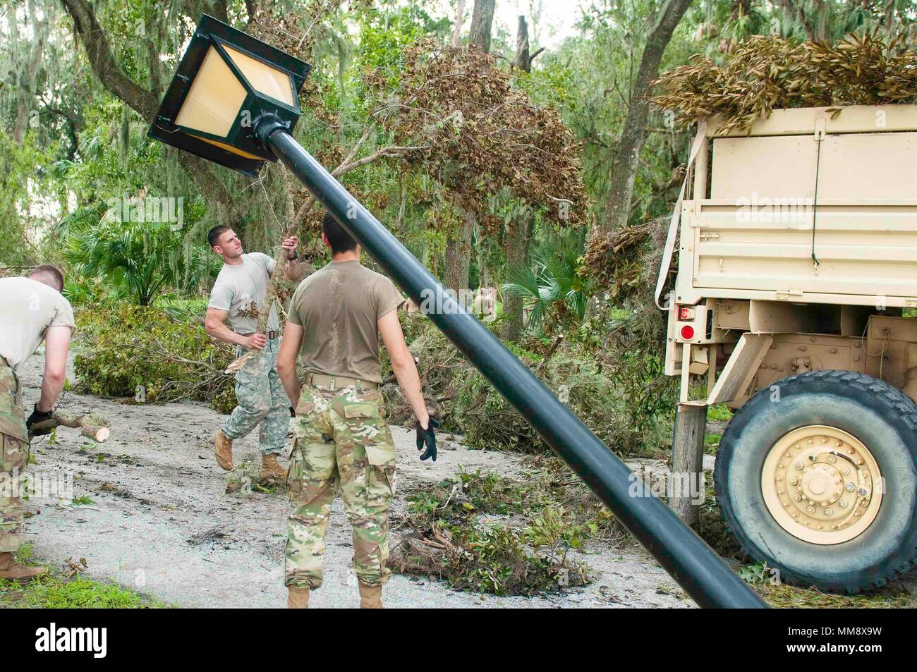 La CPS. Christopher Mercieca avec la 82e Division aéroportée jette une branche d'arbre sur le véhicule militaire au cours du nettoyage après l'Ouragan Irma à Lakeland, Floride, le 15 septembre 2017. Les soldats de la 82e Division aéroportée et 3E ESC a travaillé aux côtés d'résidence de Lakeland, Floride, d'éliminer les débris provenant des routes et des sentiers, au cours d'une mission de service civil à la Floride à la suite de la tempête. (U.S. Photo de l'armée par le Sgt. Youtoy Martin, 5e Détachement des affaires publiques mobiles) Banque D'Images