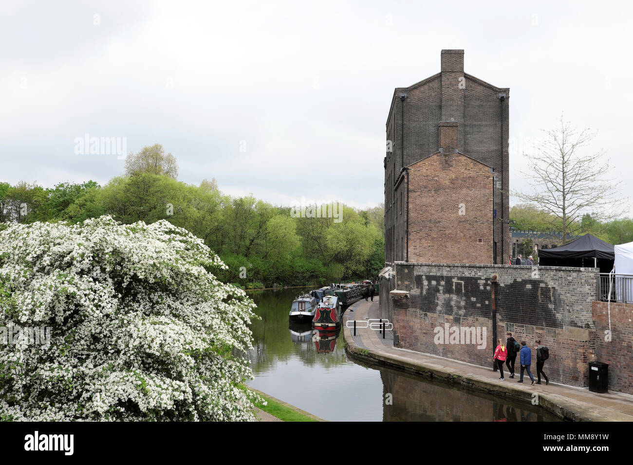 Vue verticale de l'ancien bâtiment de bureaux du charbon et du poisson sur Regents Canal au printemps, Kings Cross, Camden à Londres N1 England UK KATHY DEWITT Banque D'Images