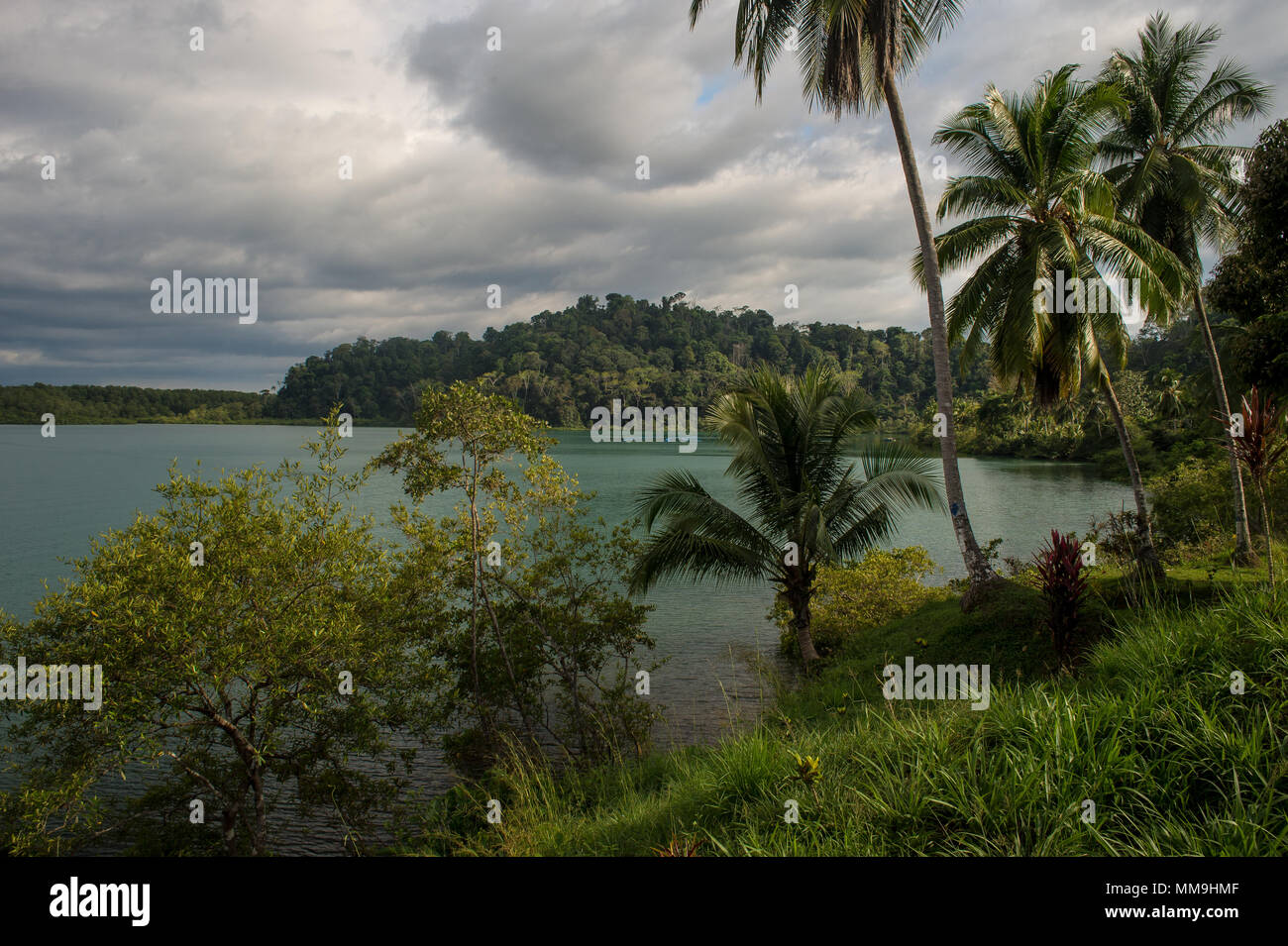 Golfo Dulce, le Costa Rica, péninsule d'Osa, Centroamerica Banque D'Images