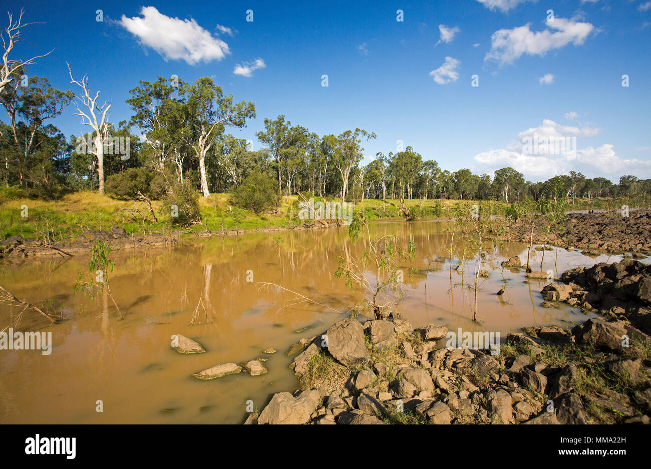 Paysage coloré avec des eaux calmes de la rivière Fitzroy ourlée avec de grands arbres et herbe émeraude sous ciel bleu en central Queensland Australie Banque D'Images