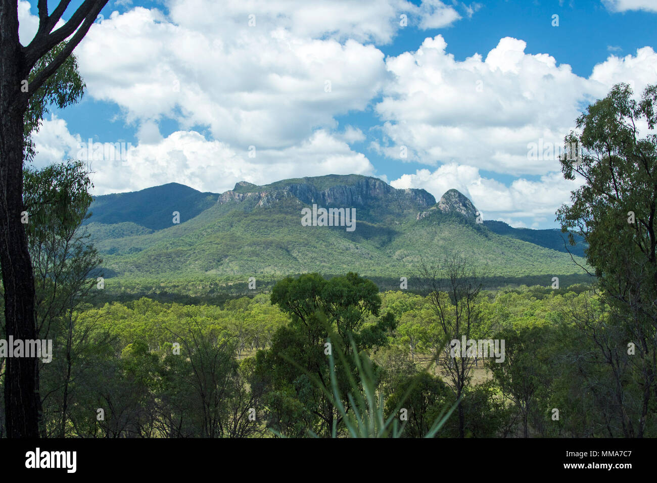 Vaste paysage avec des montagnes boisées de Great Dividing Range sous ciel bleu à Homevale Parc National, centre du Queensland en Australie Banque D'Images