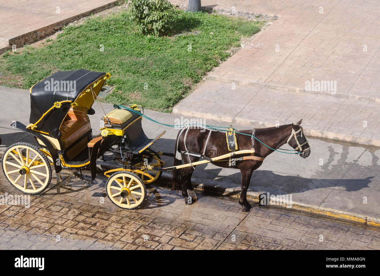 La calèche à l'ancienne situé à Izamal, Mexique Banque D'Images