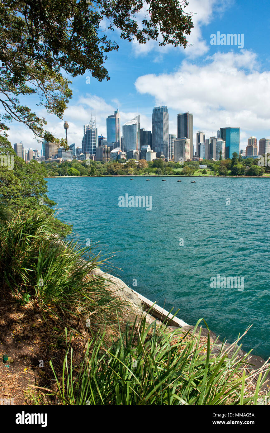 Vue sud-ouest le long sentier à bord du Royal Botanic Gardens et Farm Cove (Wahganmuggalee) vers le quartier central des affaires. Banque D'Images