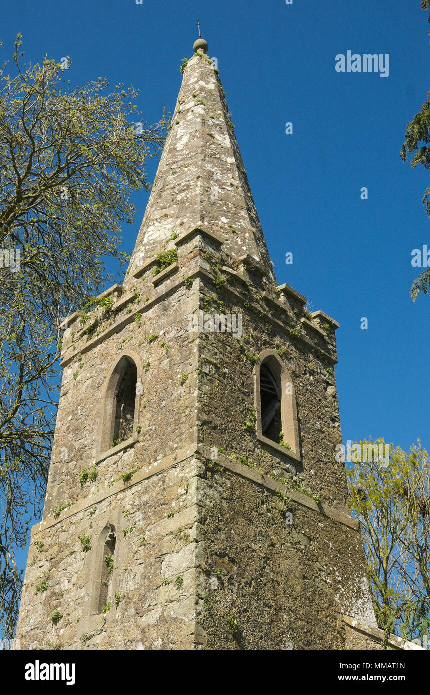 Saint Munchin's Church, église d'Irlande, le comté de Limerick Bruree Banque D'Images