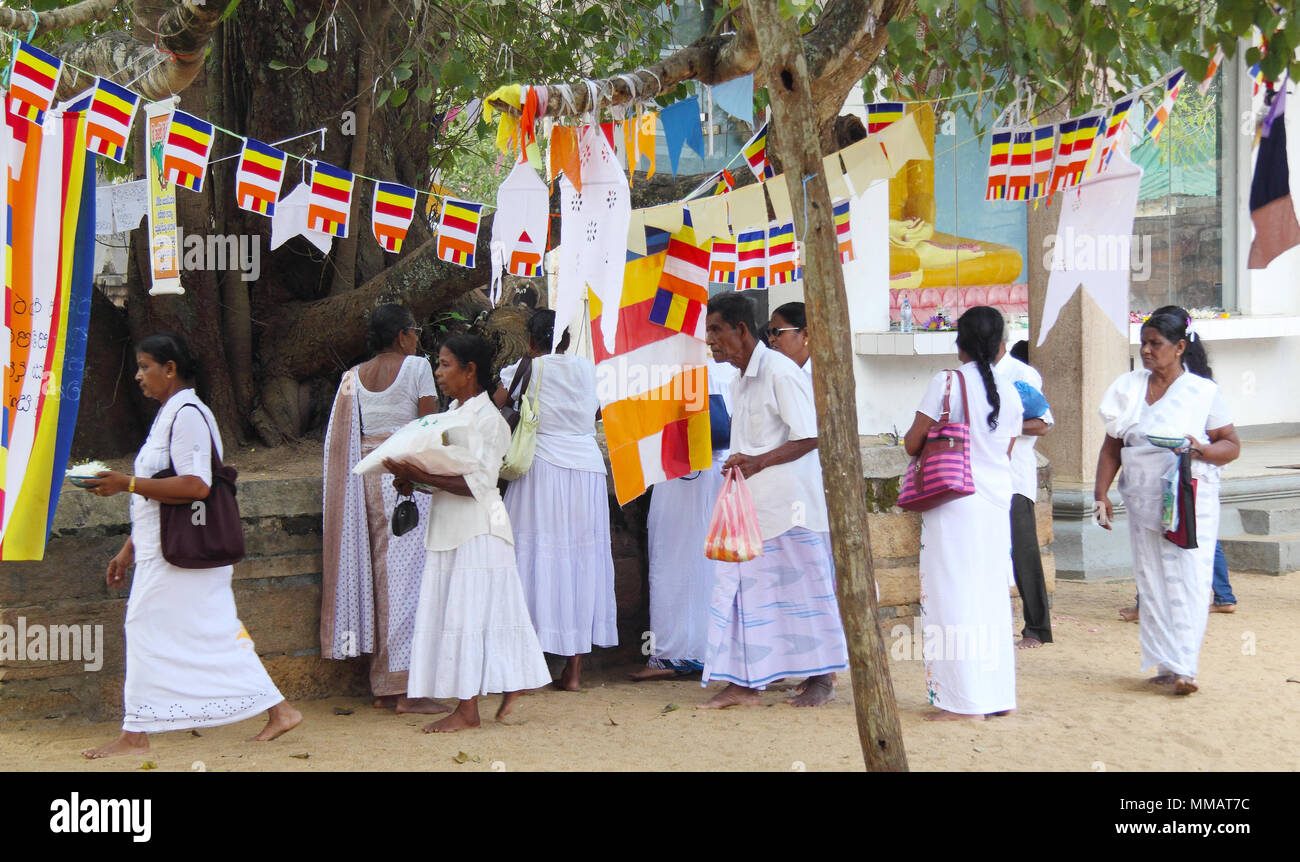 Les gens priant près d'un arbre sacrées du bouddhisme dans Anuradhapura, Sri Lanka Banque D'Images Les gens priant près d'un arbre sacrées du bouddhisme dans Anuradhapura, Sri Lanka Banque D'Images