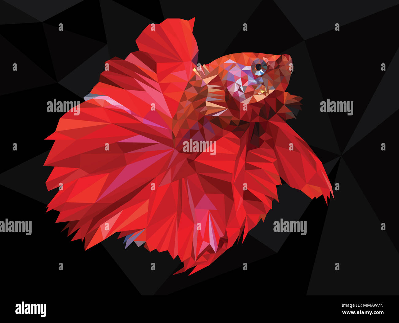 Dessin de polygones de betta ou simese fighting fish illustation. Banque D'Images