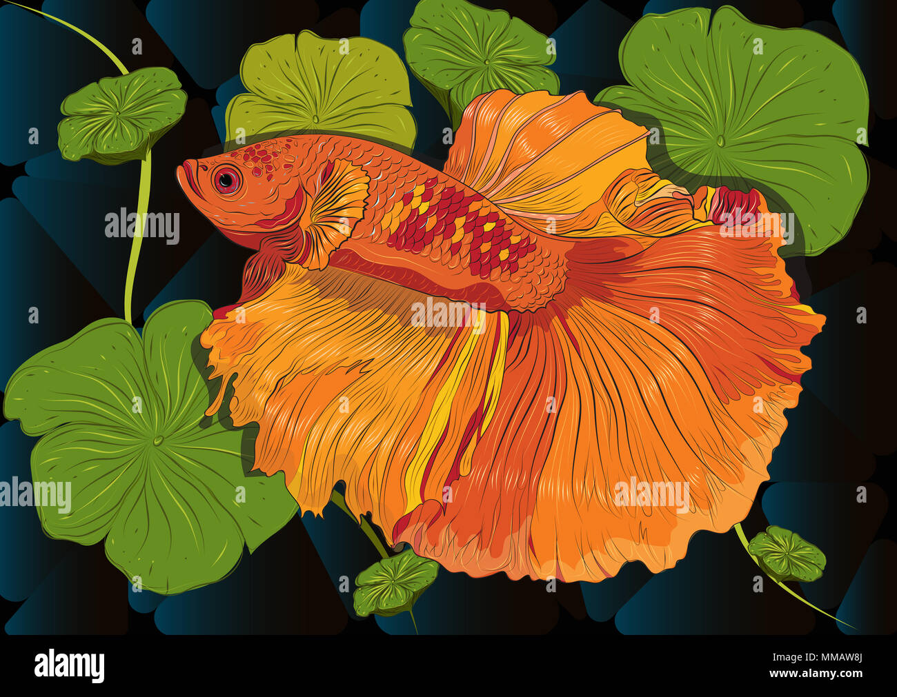 Vector dessin en couleur de betta ou simese fighting fish illustation. Banque D'Images