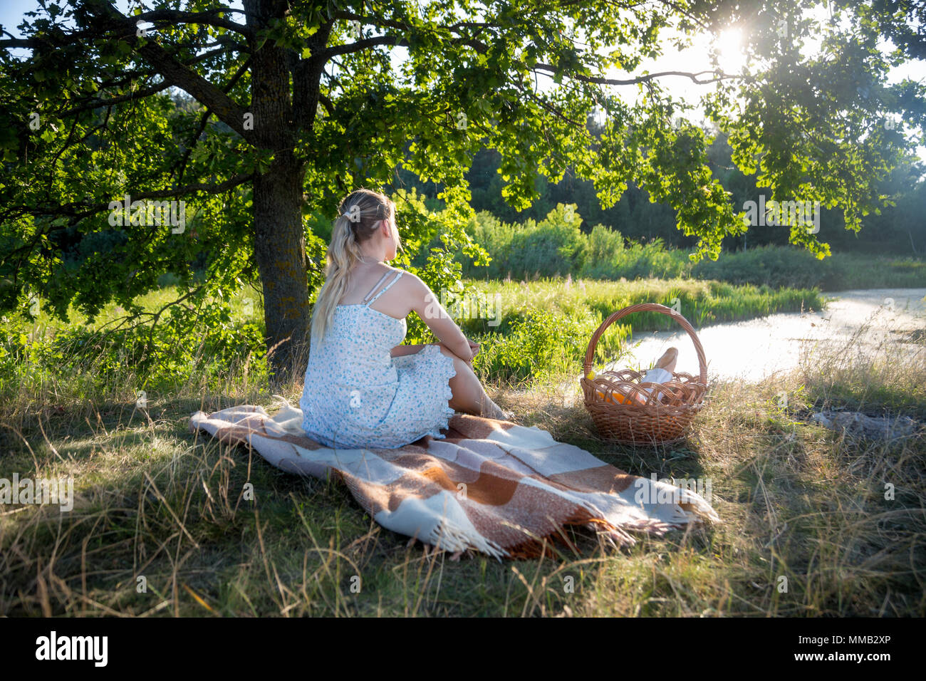 Vue arrière droit de jeune femme en robe d'été assis sous grand arbre au coucher du soleil et à la recherche Banque D'Images