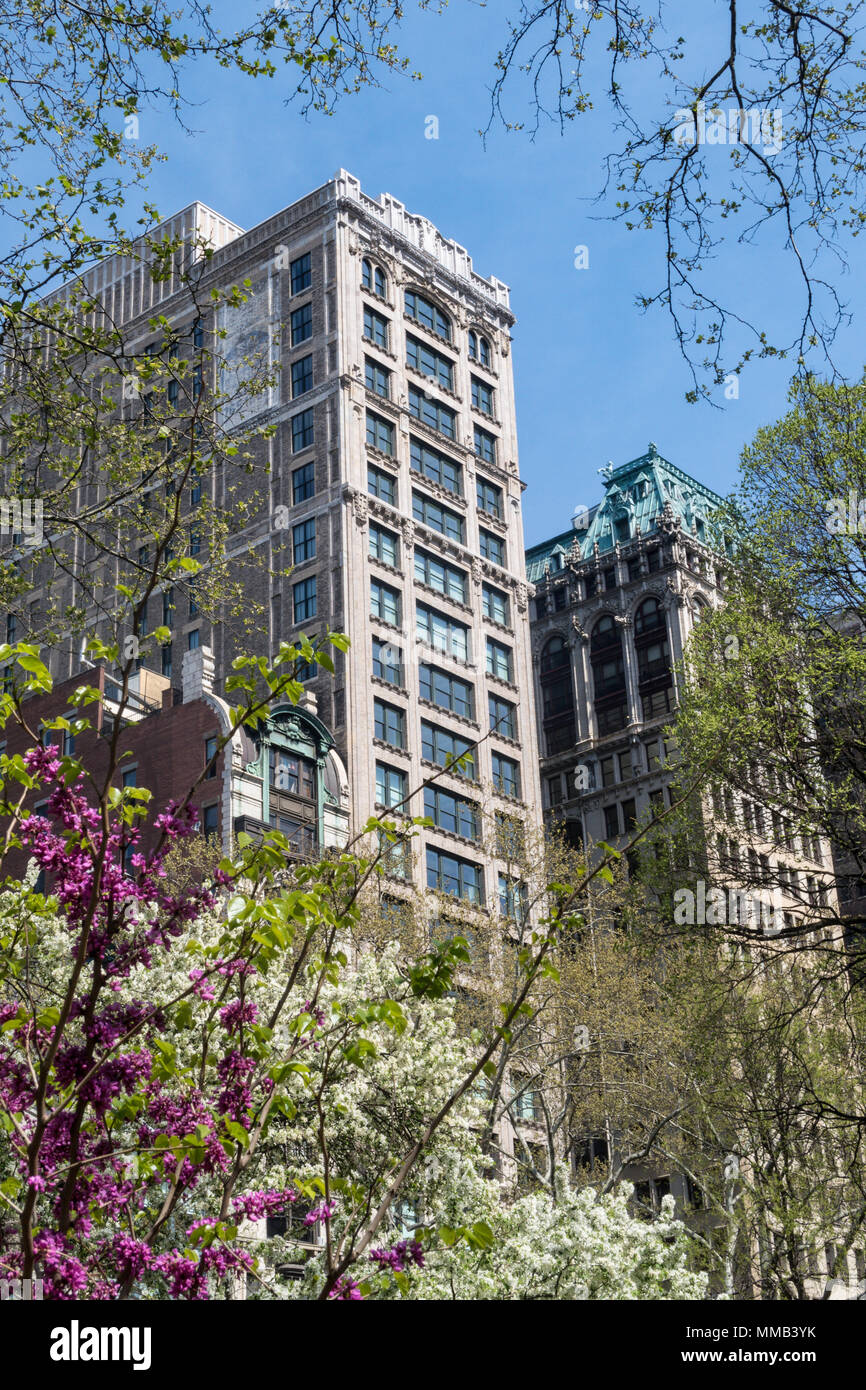 Architecture sur la Cinquième Avenue est vu à travers le Madison Square Park arbres printemps, NYC, USA Banque D'Images