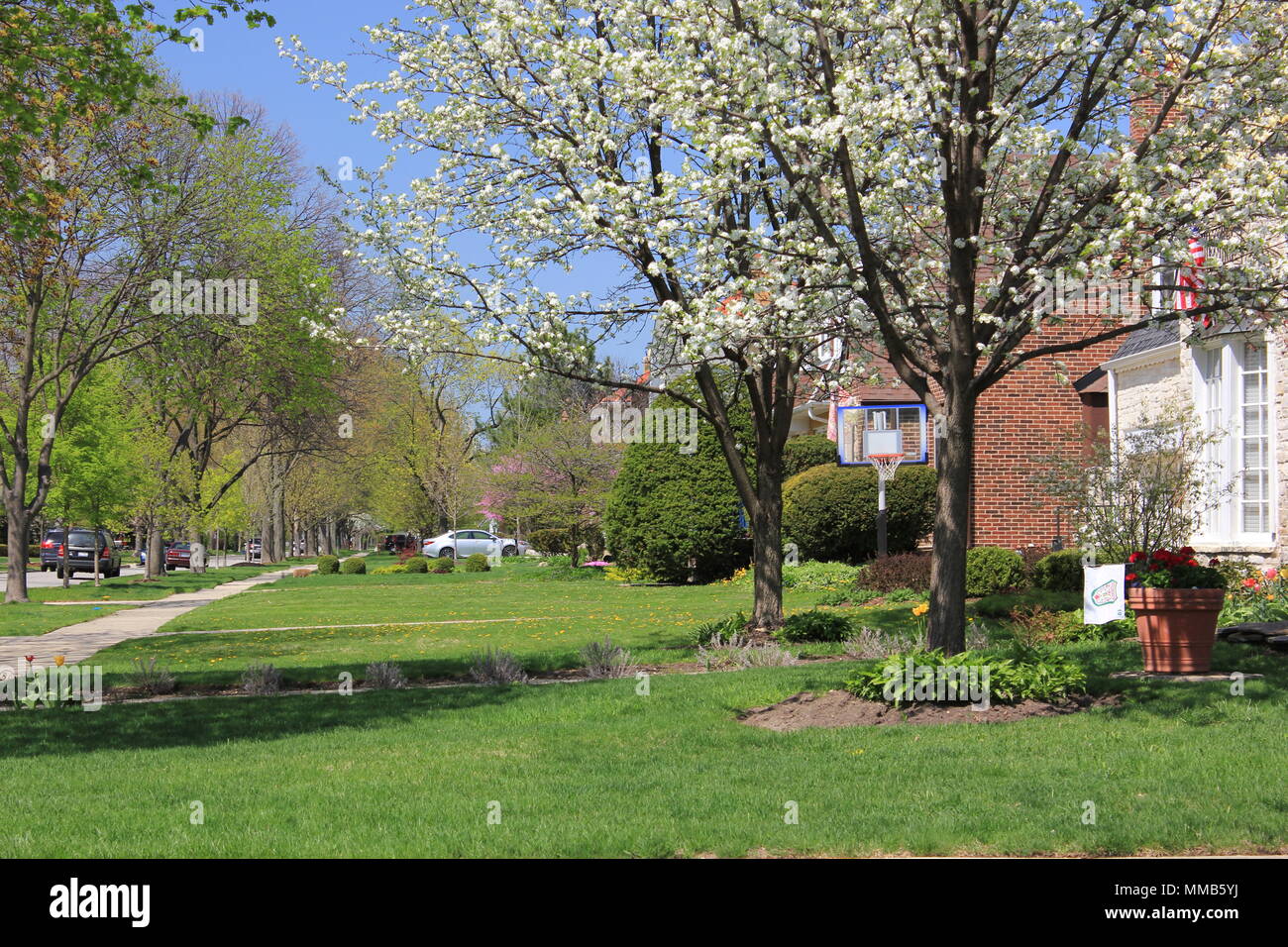 La classe moyenne plus banlieue de Park Ridge, Illinois. Banque D'Images