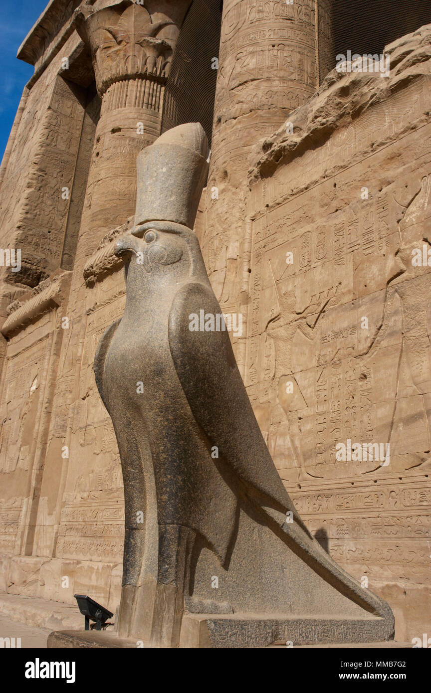 L'Egypte, Edfou. Temple d'Horus. Pronaos. Période ptolémaïque. Il a été construit pendant le règne de Ptolémée III et Ptolémée XII, 237-57 BC. Statue en granit du dieu faucon Horus portant la double couronne d'Égypte. Banque D'Images