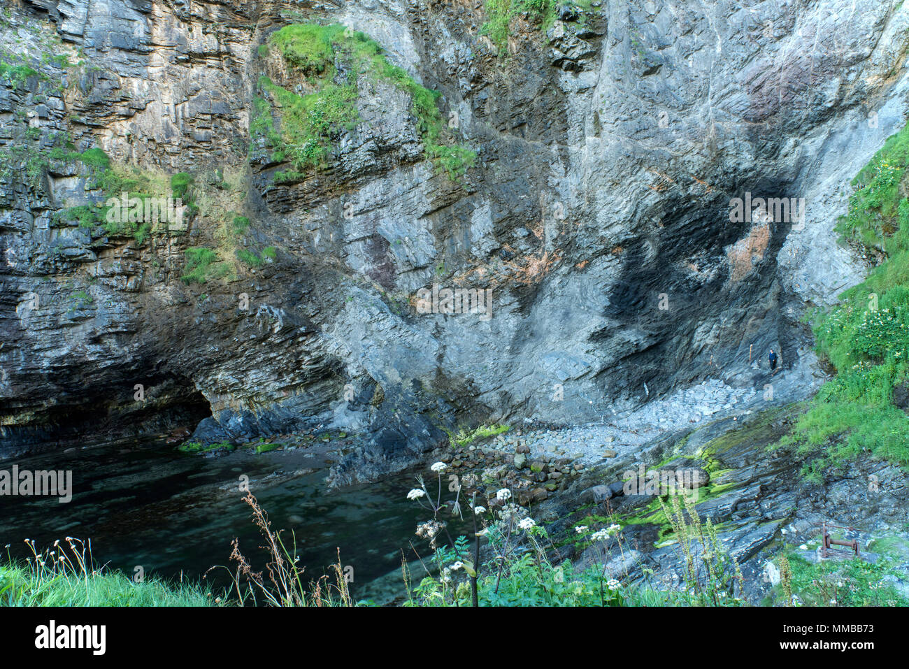 Dans le Nord Est de l'Ecosse les étapes Whaligoe descendre une falaise 250ft-face à une série de zigzags pour une étendue naturelle, rocky Inlet ou à l'Égypte qui a été Banque D'Images