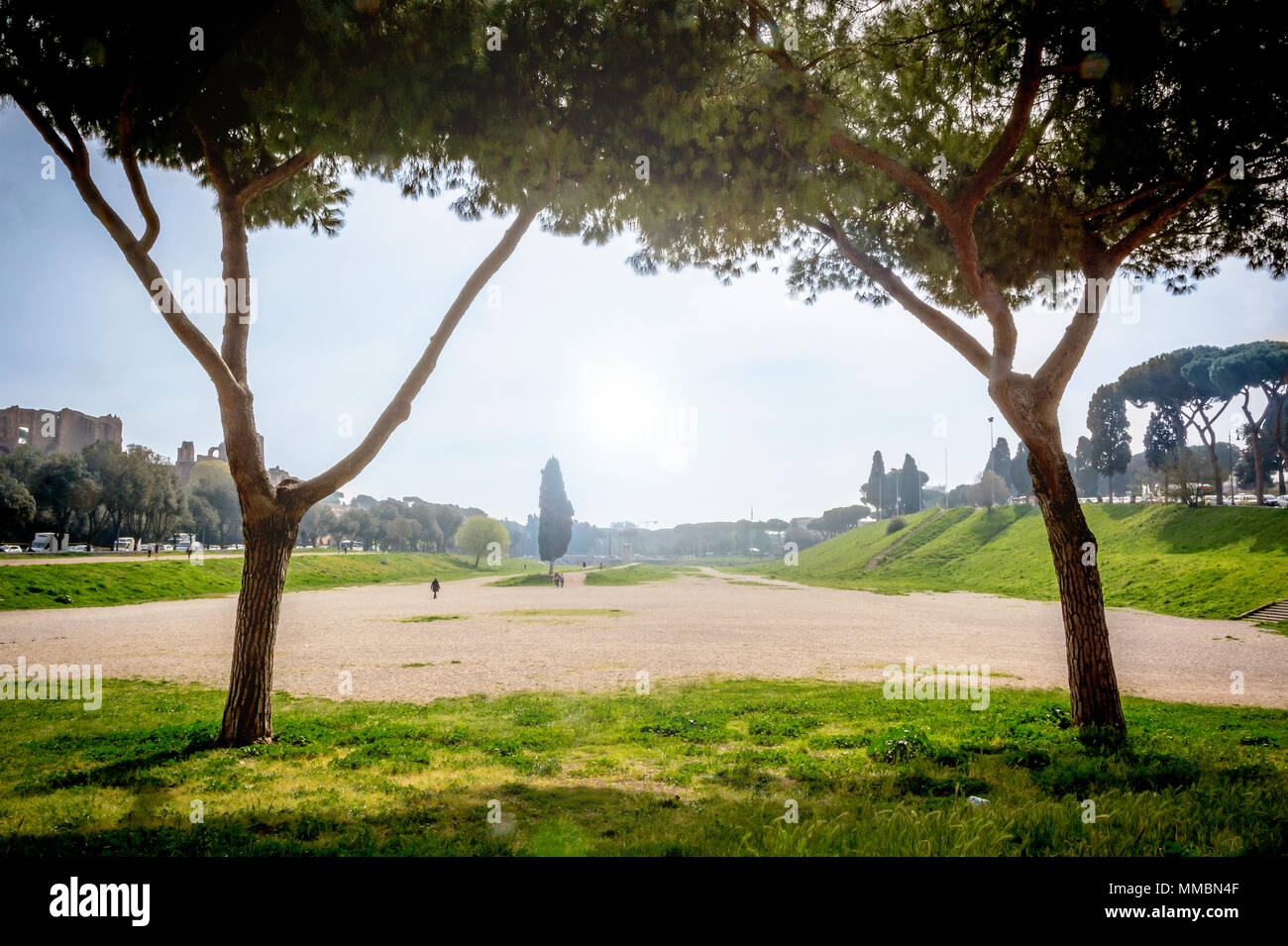 Deux pins romaine reste le cadre du Cirque Maxime à Rome avec un cyprès au centre de la photo. Retour de la lumière sur un jour nuageux Banque D'Images