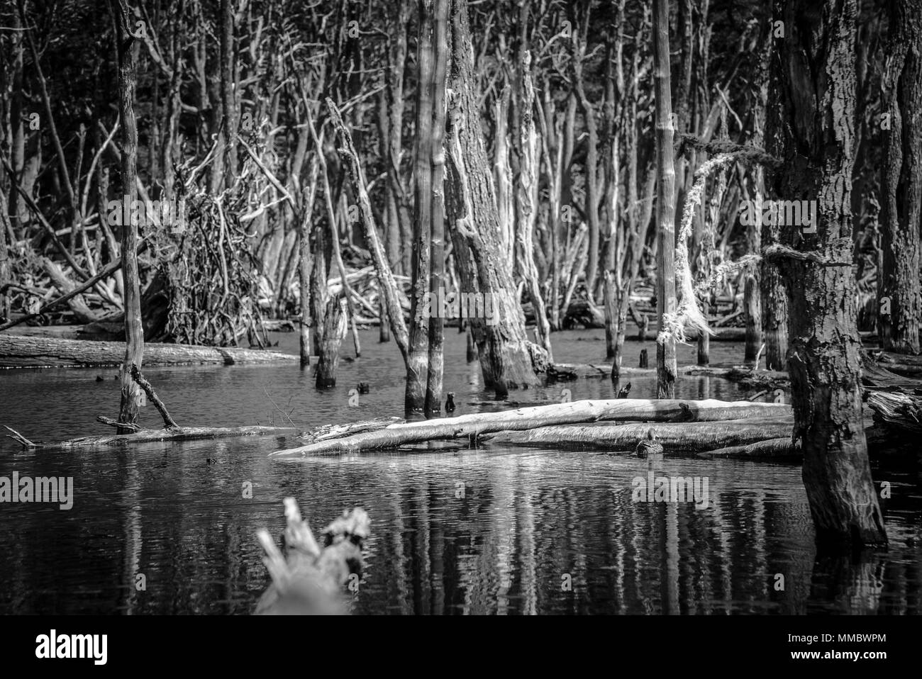 Ushuaia Paysages et Nature Banque D'Images