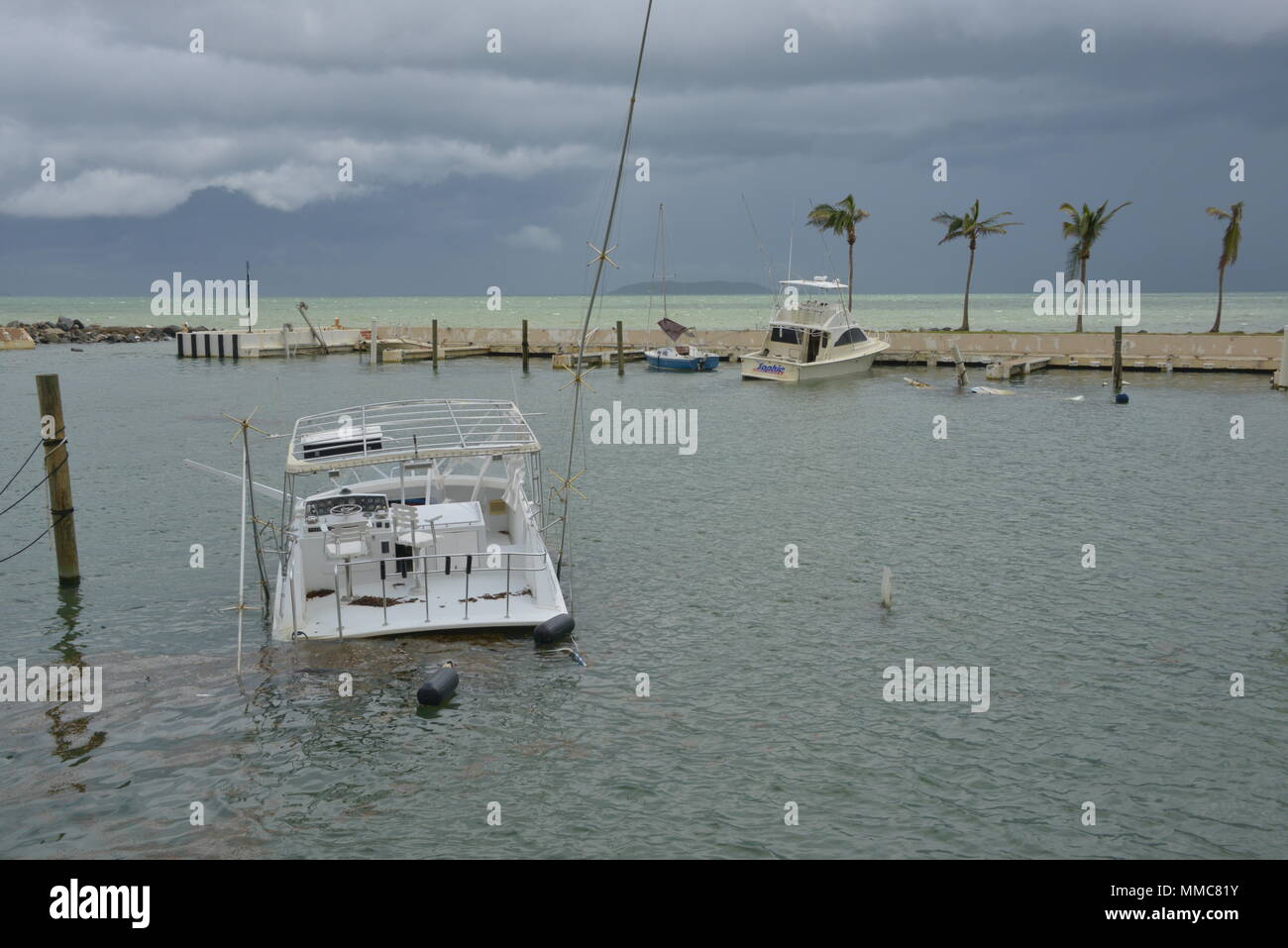 Maria FSE-10 PR Commandement unifié du personnel d'intervention pour assurer la sécurité des travaux de dépose, endommagé, déplacées ou submergées des navires coulés à partir de la Marina de lanais en Fajardo, Porto Rico, le 11 octobre 2017. 10 Le FSE est le cadre par lequel l'aide fédérale est coordonnée avec des organismes d'état en réponse aux déversements d'effectifs ou potentiels ou les matières dangereuses de presse. U.S. Coast Guard photo de Maître de 1re classe Timothy Tamargo Banque D'Images