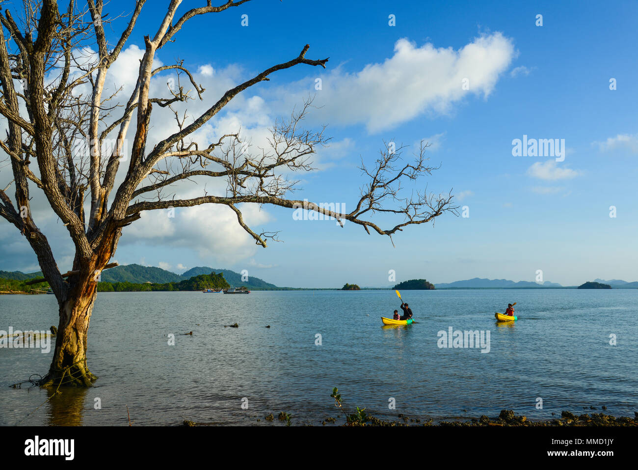 Krabi, Thaïlande - Mai 3, 2015 : les touristes des bateaux de canotage sur mer dans clear sky day près de morts dans un parc public de Krabi, Thaïlande Banque D'Images