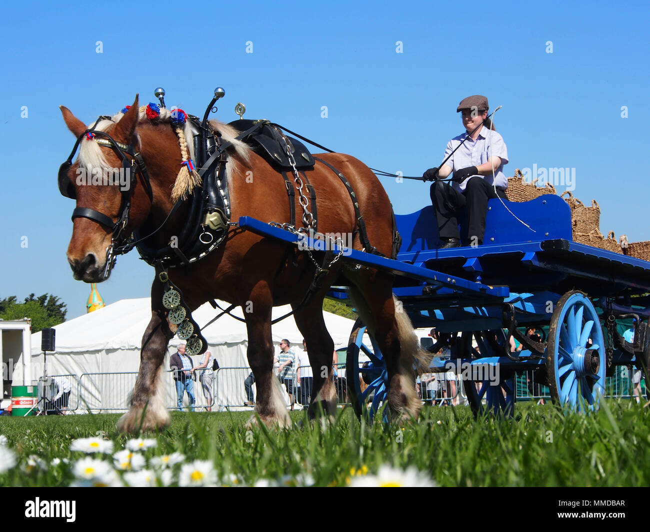 Un cheval dessiné crriage s'affiche à la station et Rural show à Southsea, Portsmouth, Angleterre. Banque D'Images