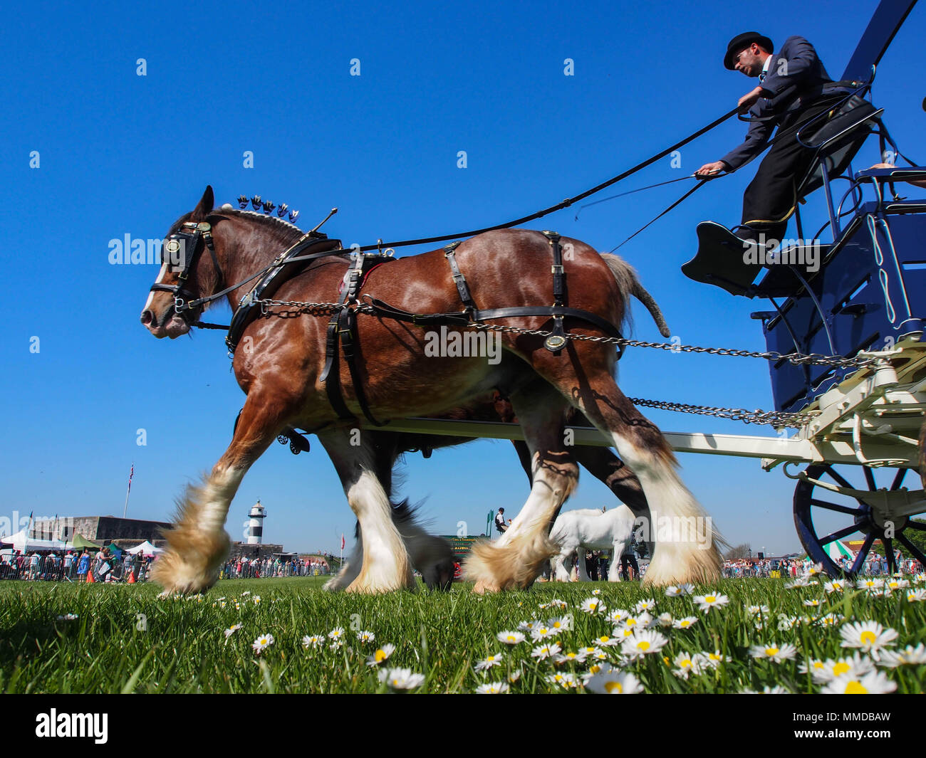 Un cheval dessiné crriage s'affiche à la station et Rural show à Southsea, Portsmouth, Angleterre. Banque D'Images