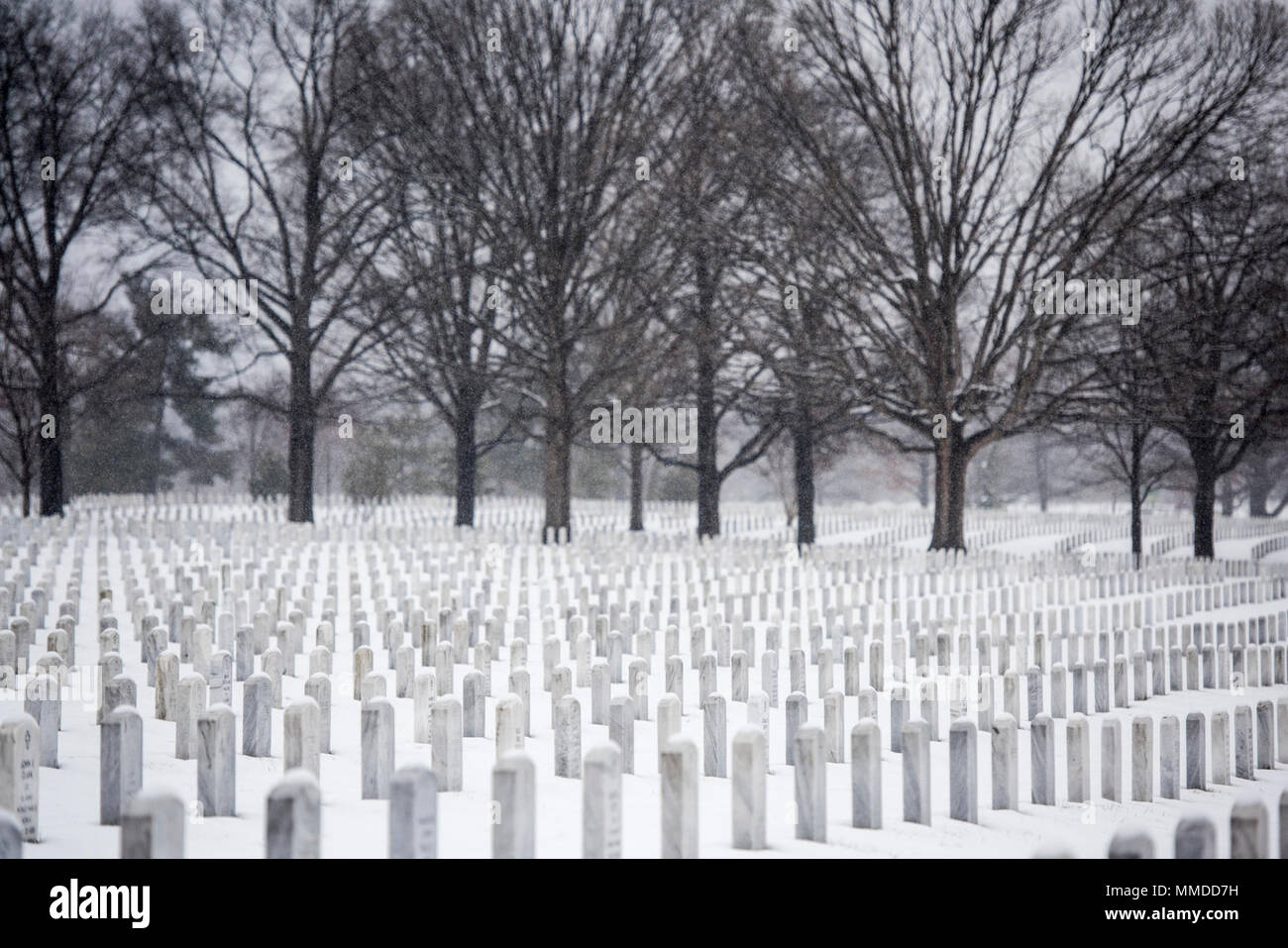 Chutes de neige dans l'article 60 de cimetière National d'Arlington, Arlington, Virginie, le 21 mars 2018. C'était le deuxième jour de printemps, quand une tempête de neige a frappé la région de la capitale nationale. (U.S. Army Banque D'Images