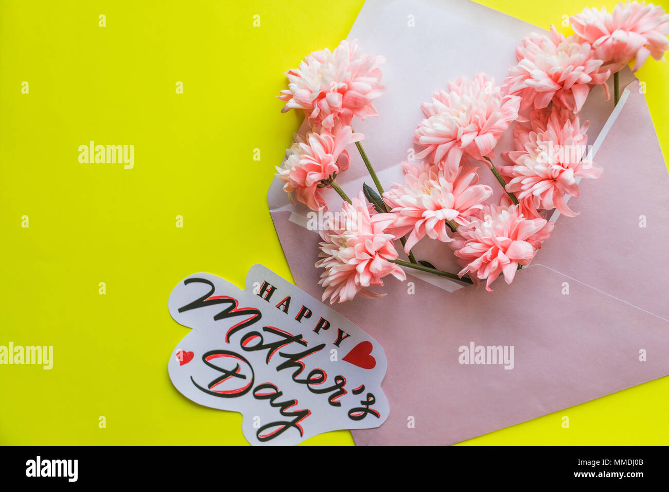Beaux arrangements floraux. Chrysanthèmes avec enveloppe rose sur fond jaune. Mise à plat, vue du dessus.happy mother's day text.concept cartes florales Banque D'Images