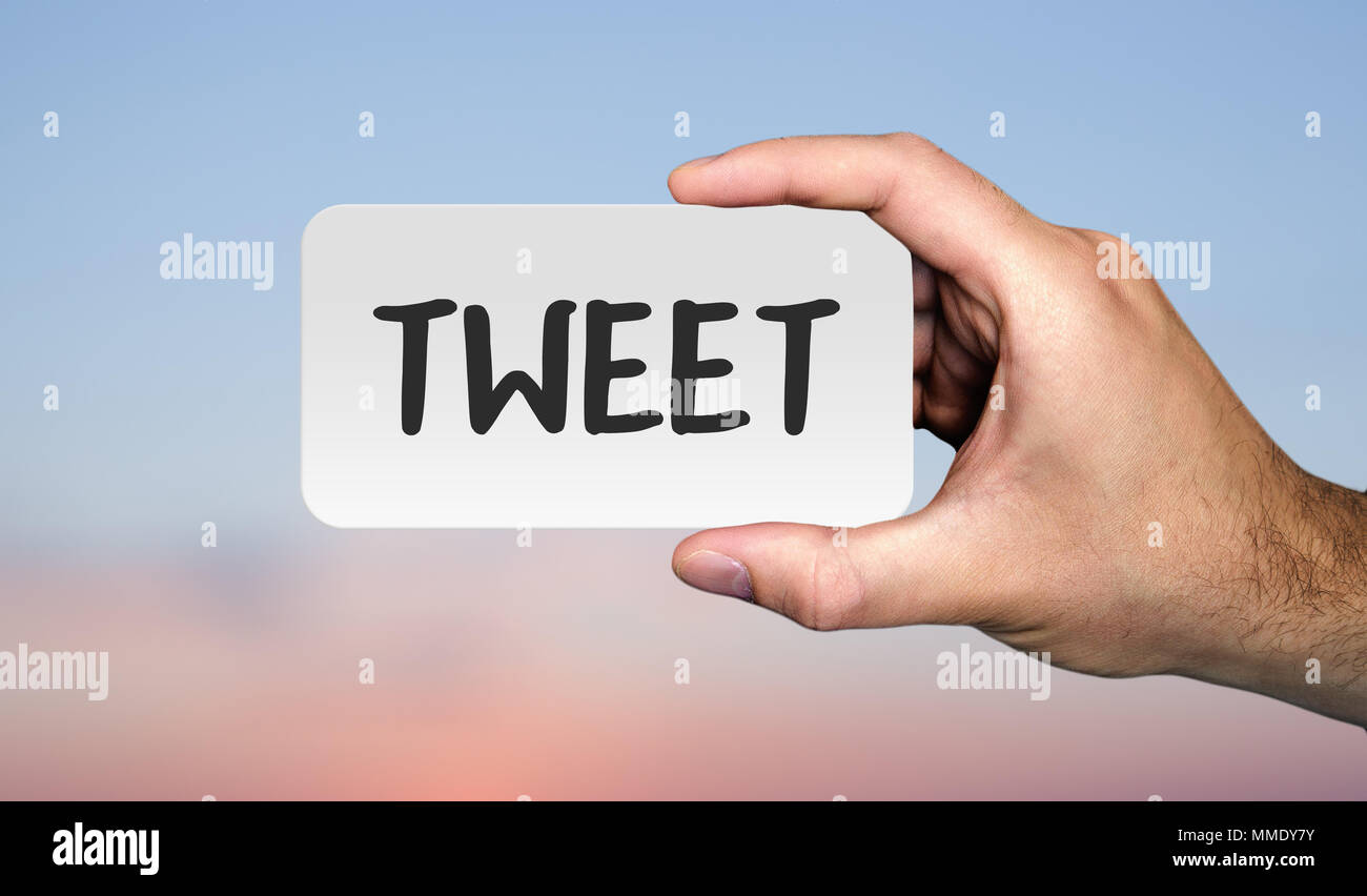 Hand holding placard avec word 'TWEET'. Stock de vecteur. Banque D'Images