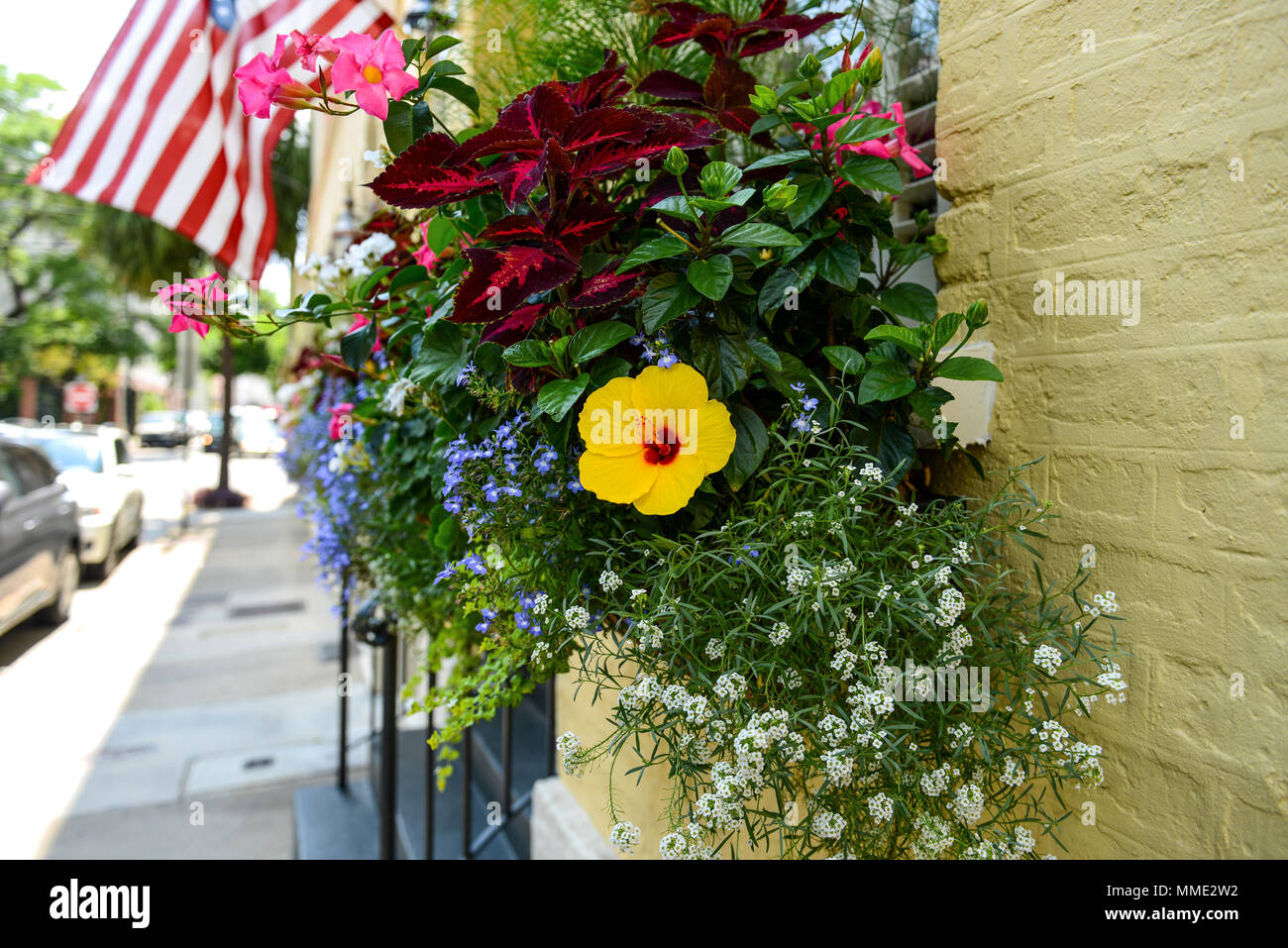 Boîte de Fenêtre - Fenêtre fleurs colorées de fleurs sur un historic Charleston street dans le centre-ville de Charleston, Caroline du Sud, USA. Banque D'Images