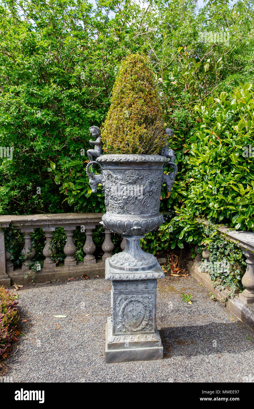 Pierre ancien semoir avec buxus au Manoir de Palmerstown House Estate, Johnstown, comté de Kildare, Irlande Banque D'Images