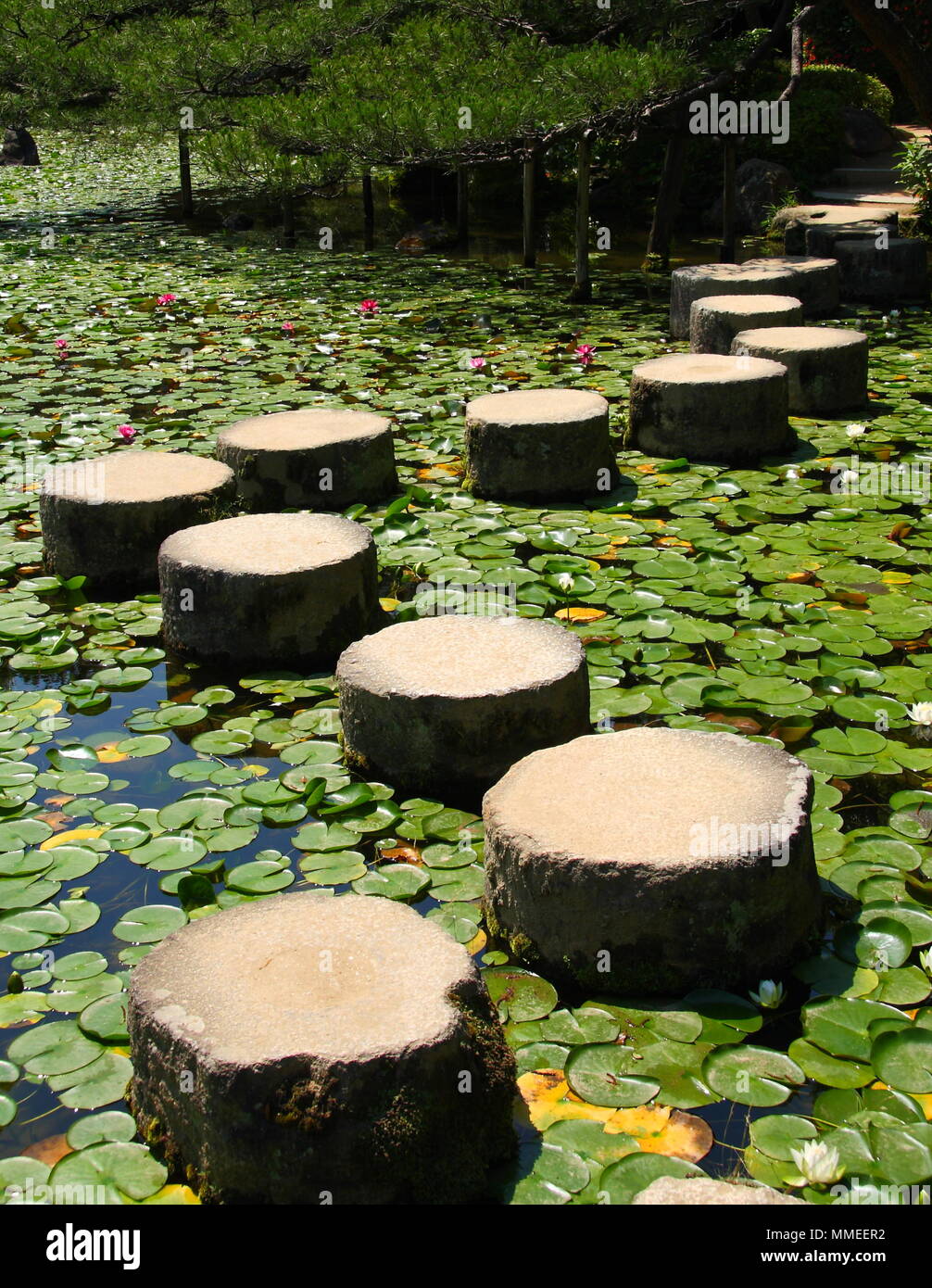 Stepping Stones japonais dans l'eau (Kyoto) Banque D'Images