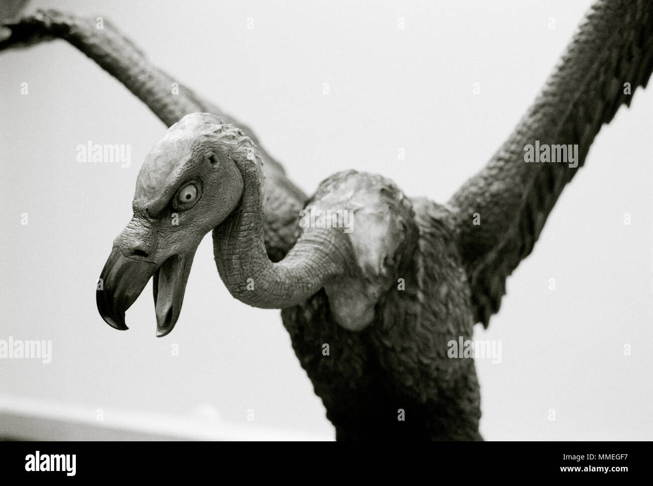 Art vautour dans un sanctuaire bouddhiste au temple Wat Saket Mont d'or à Bangkok en Thaïlande en Asie du Sud-Est Extrême-Orient. Voyage montagne B&W Banque D'Images