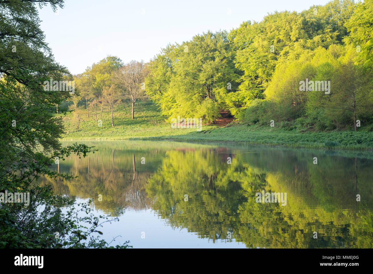 Arbres se reflétant dans le lac tôt le matin peut la lumière du soleil. Blenheim Palace, Oxfordshire, Angleterre Banque D'Images