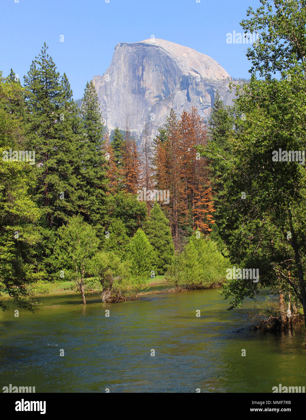 À Yosemite Half Dome Banque D'Images