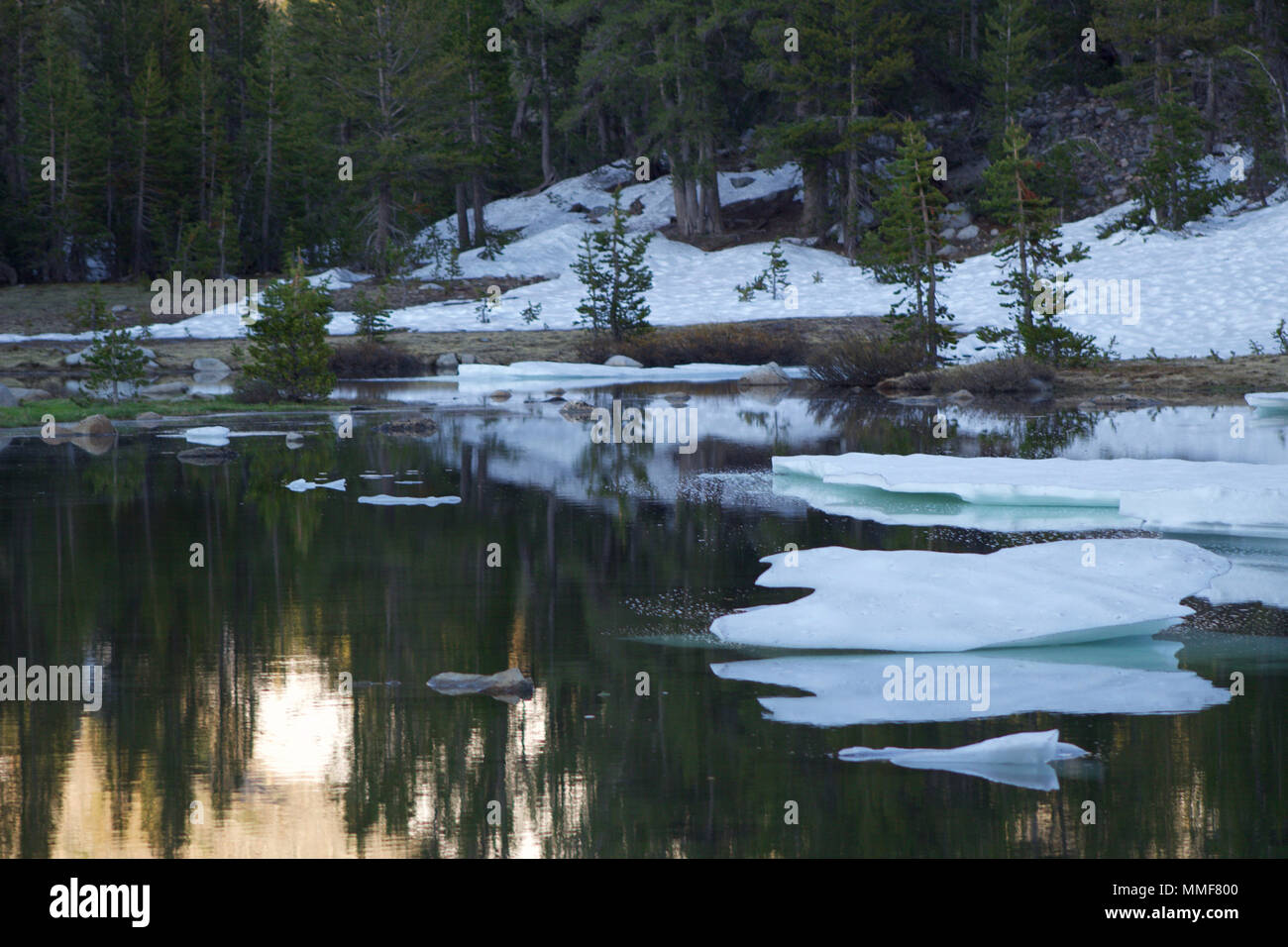 La moitié lac gelé dans le parc Yosemite Banque D'Images