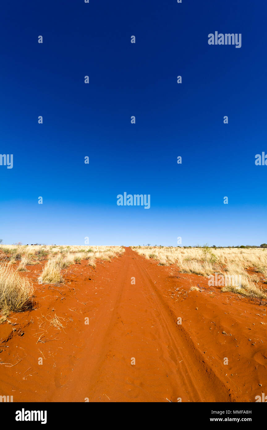 Une piste de sable rouge traverse une plaine spinifex dans le désert sur une station de l'outback. Banque D'Images