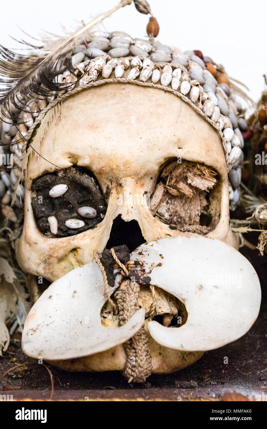 Une collection de crânes humains capturés par les chasseurs Asmat dans un musée dans une ville fluviale. Banque D'Images
