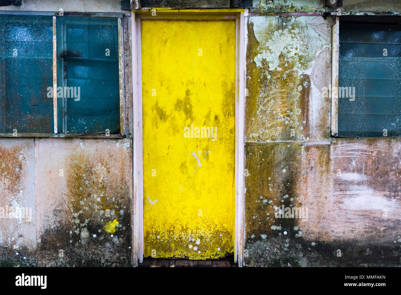Une porte avant jaune vif couvert de moisissure sur une île tropicale. Banque D'Images