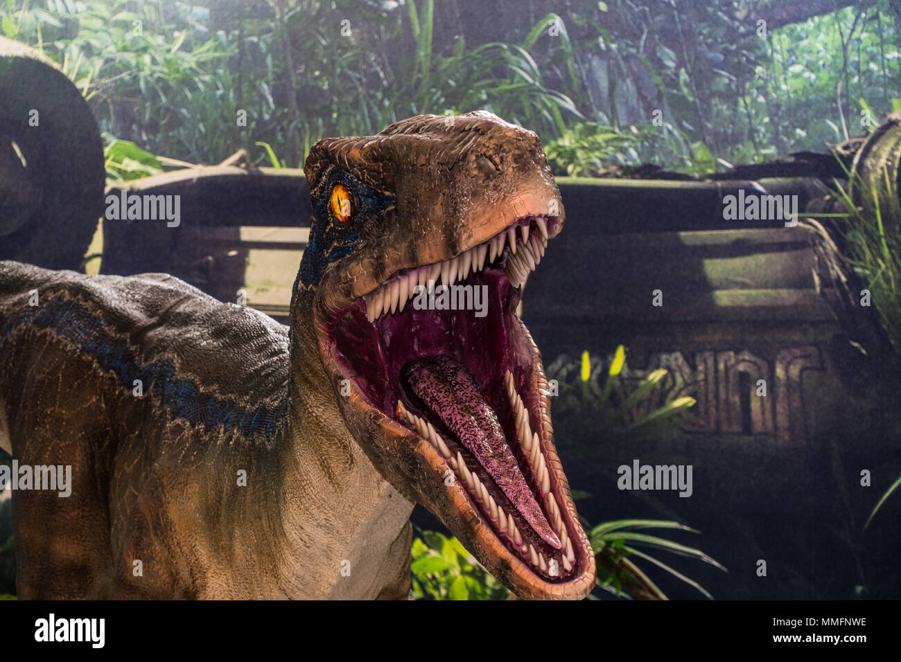 D'animatronic Velociraptor Banque D'Images
