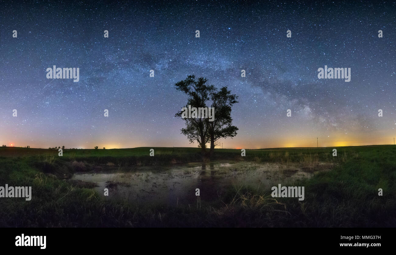 Vue panoramique de l'arc au-dessus de la Voie Lactée lonely tree debout près de l'étang de la banque. Banque D'Images
