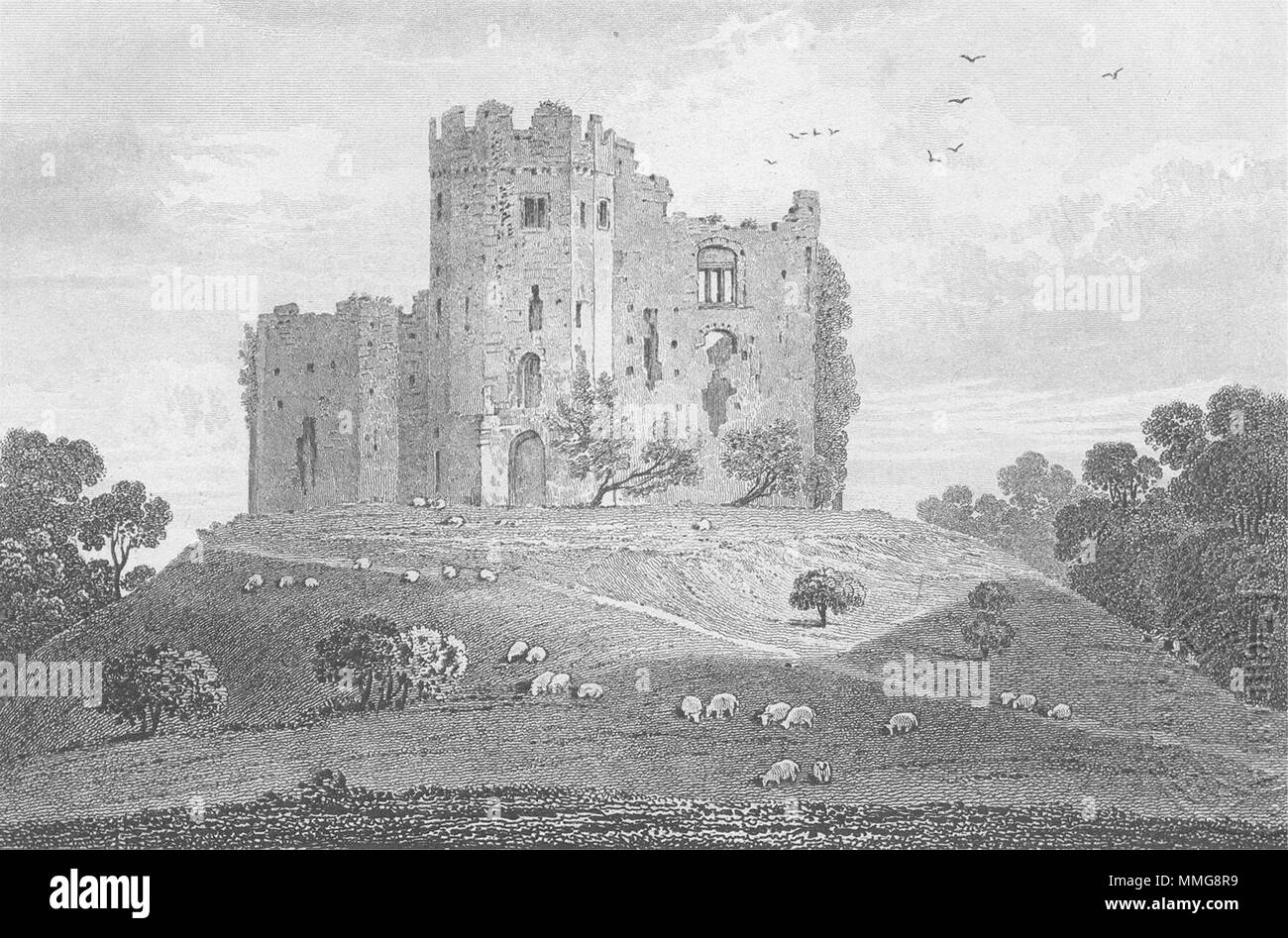 Le Pays de Galles. Le Château de Cardiff,. DUGDALE c1840 ancienne imprimer photo Banque D'Images