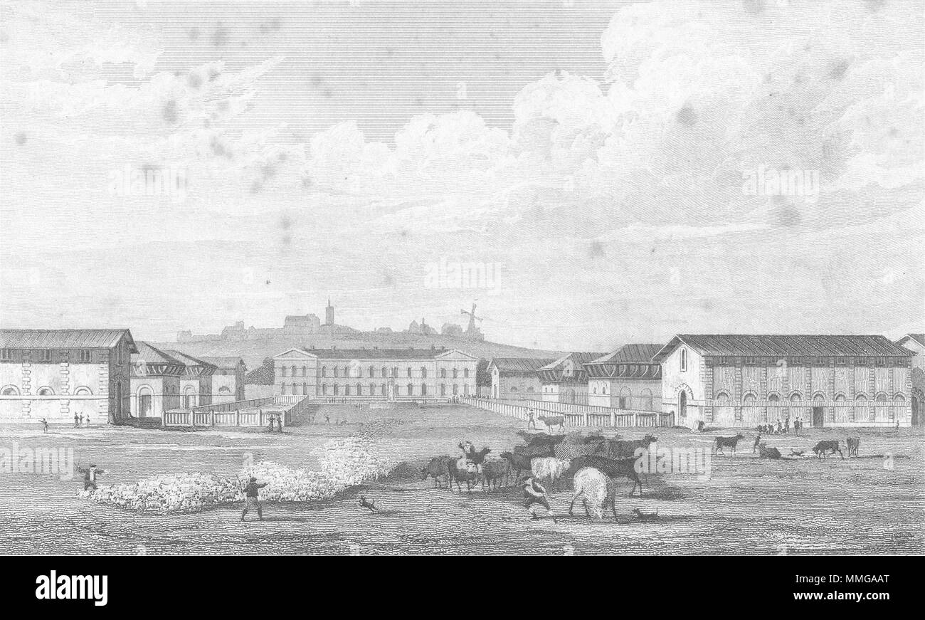 PARIS. Abattoir, Montmartre. La France. Pugin, vaches 1828 vieux ancien Banque D'Images