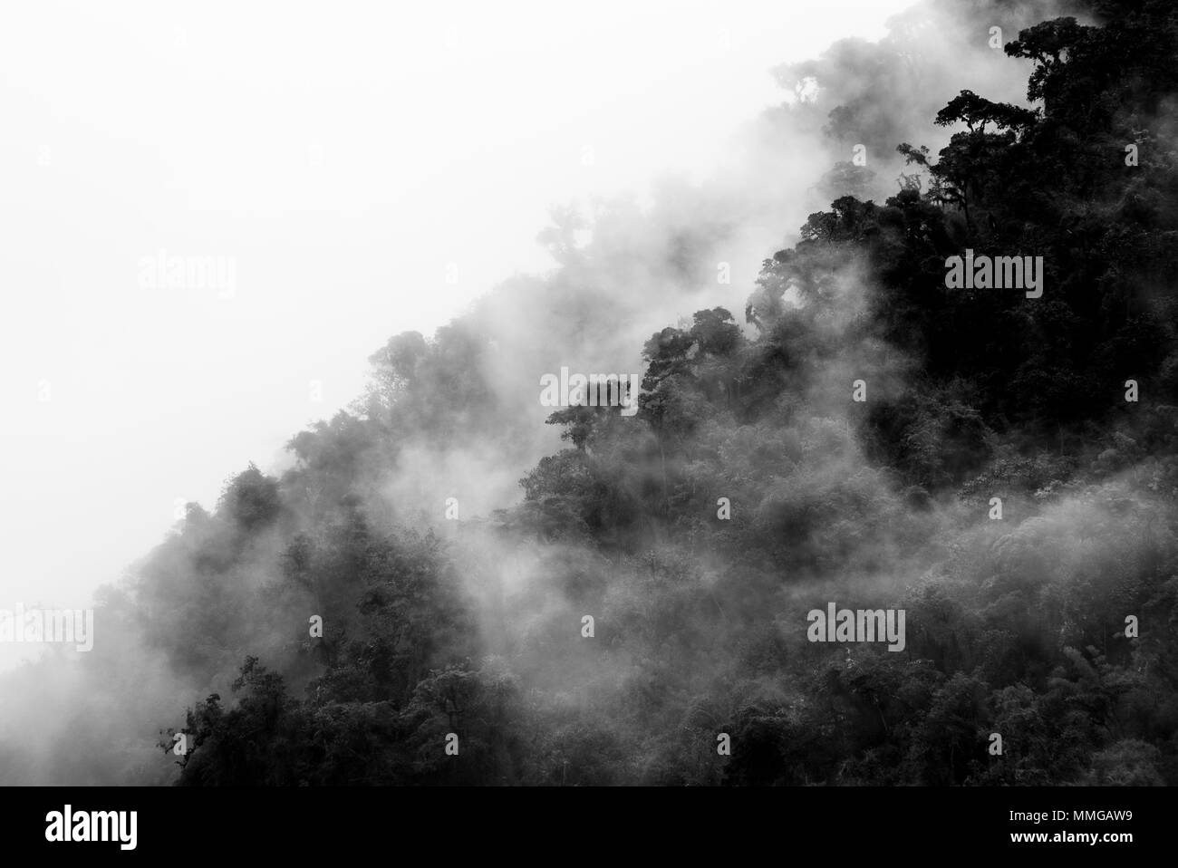 Trekking Salkantay Pérou la route à Machu Pichu Banque D'Images
