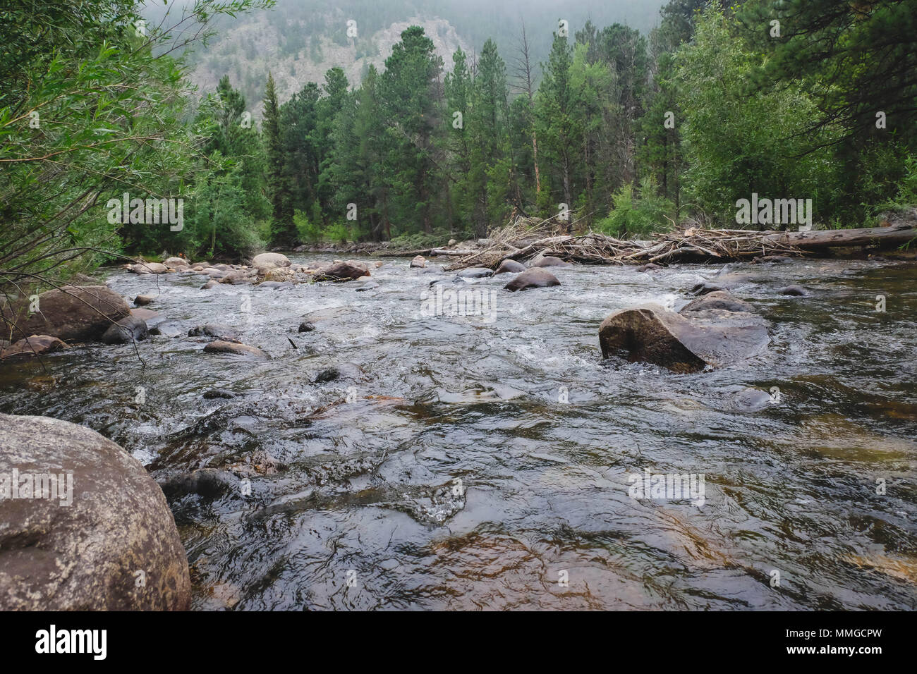 Powder River, Canyon Banque D'Images