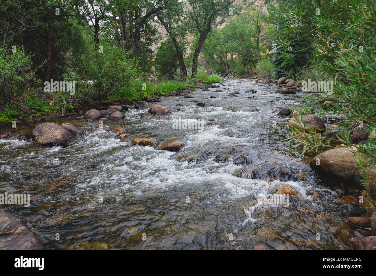 Powder River, Canyon Banque D'Images