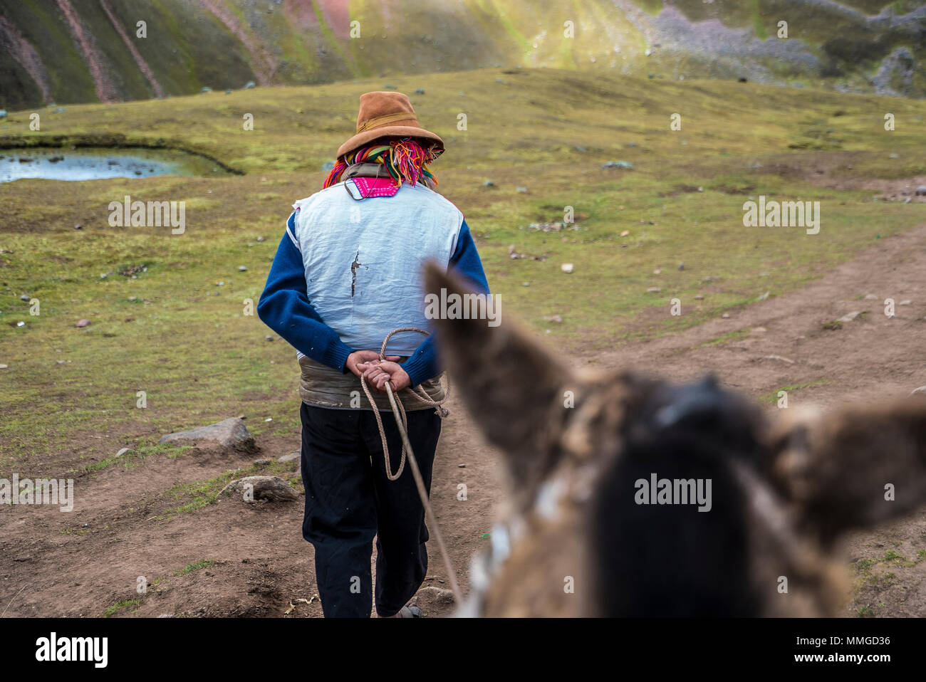 L'équitation à Rainbow Mountain au Pérou et retour Banque D'Images