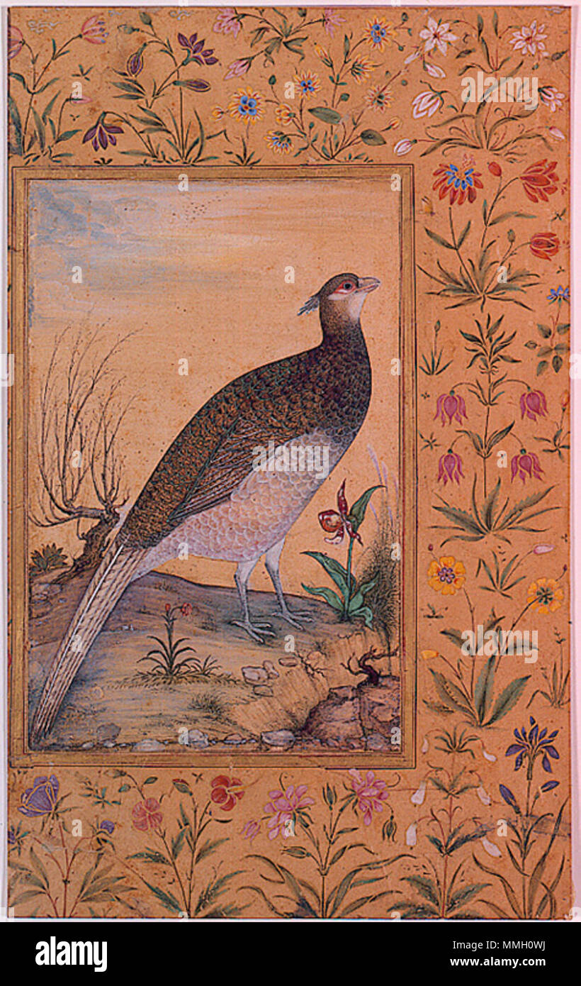 . Anglais : Série Titre : Shah Jahan Album Suite Nom : Shah Jahan Album Date de création : ca. 1620 frontière (ca. 1635) Dimensions : 8 1/8 po. x 5 5/16 in. (20,64 cm x 13,49 cm) Ligne de crédit : Edwin Binney 3ème Numéro : 1990.342 Collection : Le San Diego Museum of Art . 6 septembre 2011, 14:05:12. Un thesandiegomuseumofartcollection français : Himalayan Cheer Pheasant (6124502761) Banque D'Images