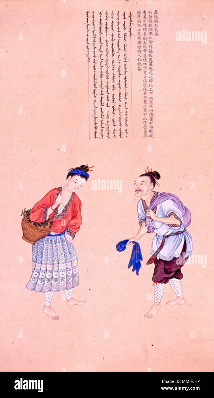 719 b灌陽線竹箭猺 Banque D'Images